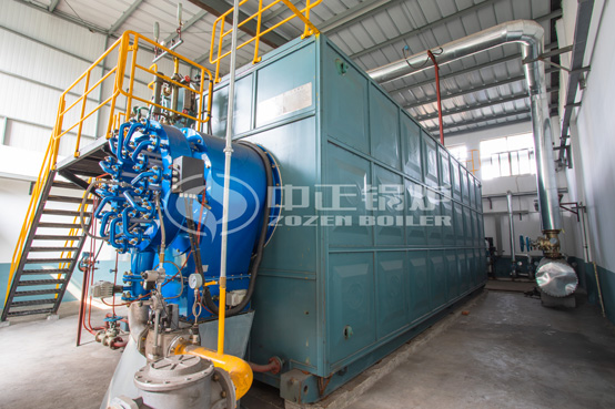 25噸SZS冷凝式燃?xì)庹羝仩t項目