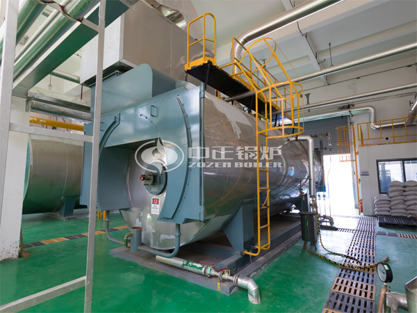 12噸WNS系列冷凝式燃?xì)庹羝仩t項目