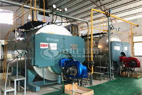 中正天燃氣鍋爐在精細化工領域有所作為 大幅度提高化工產業能級