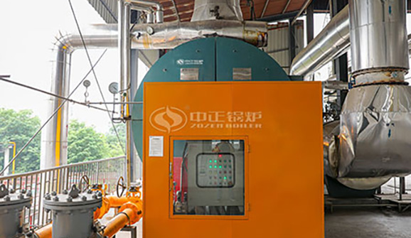 藍科生物科技360萬大卡YLW系列鏈條爐排有機熱載體鍋爐項目